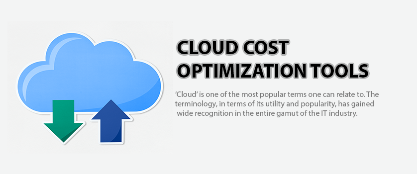 Cloud Cost Optimization Tools
